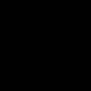 Meet your Posher, Dee